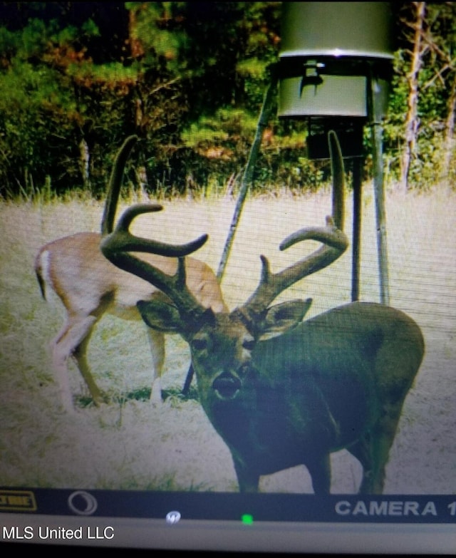 Franklin Rd, Goodman, MS 39079