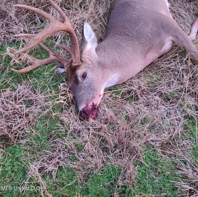 Franklin Rd, Goodman, MS 39079