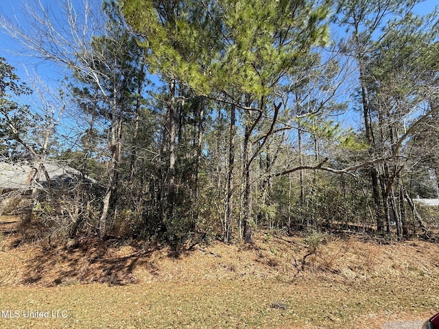 6317 Anela Dr, Diamondhead MS, 39525 land for sale