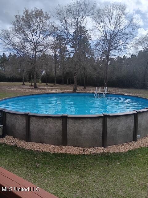 9900 Little Buck, Vancleave, MS 39565 - outdoor pool featuring view of wooded area