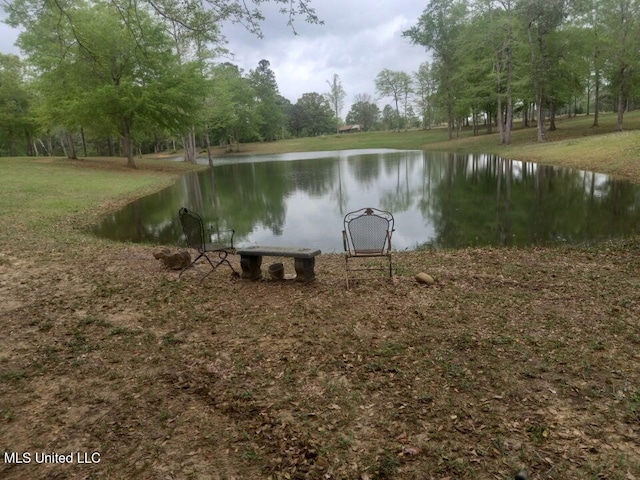 9900 Little Buck, Vancleave, MS 39565 - water view