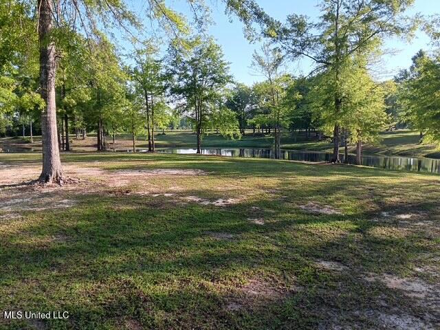 9900 Little Buck, Vancleave, MS 39565 - surrounding community with a water view and a yard