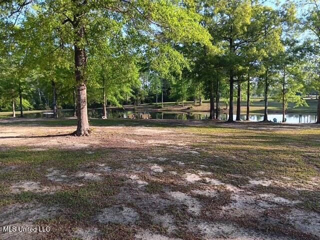 9900 Little Buck, Vancleave, MS 39565 - view of community featuring a water view and view of scattered trees