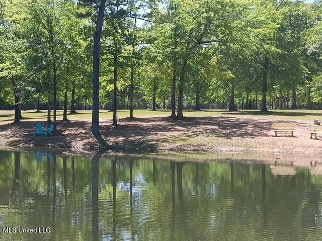 9900 Little Buck, Vancleave, MS 39565 - water view