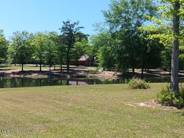 9900 Little Buck, Vancleave, MS 39565 - view of property's community featuring a water view and a lawn