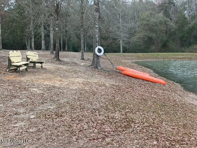 9900 Little Buck, Vancleave, MS 39565 - surrounding community featuring a water view and a wooded view