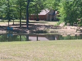 9900 Little Buck, Vancleave, MS 39565 - water view