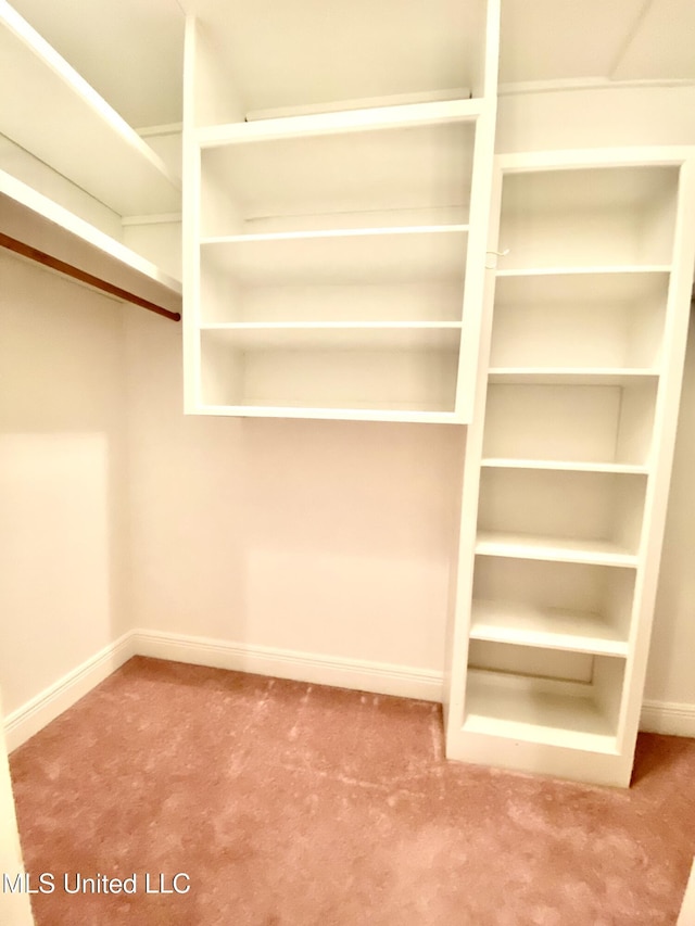 walk in closet featuring carpet flooring