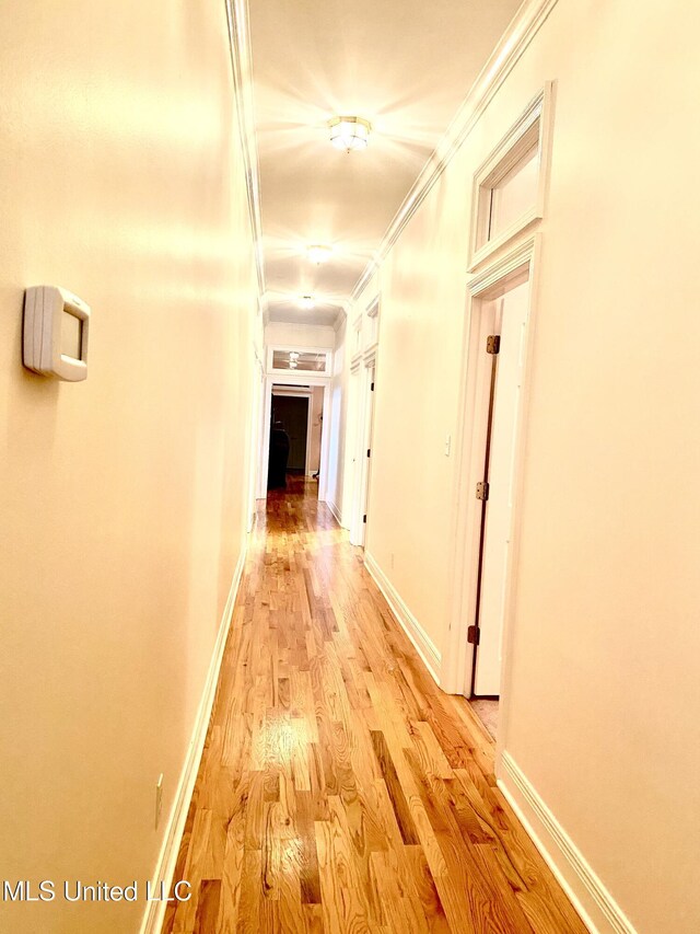 hallway featuring light hardwood / wood-style flooring and ornamental molding