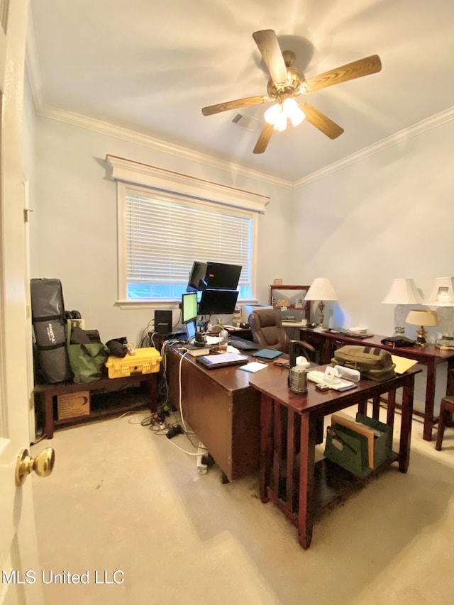 office featuring ceiling fan, carpet floors, and crown molding