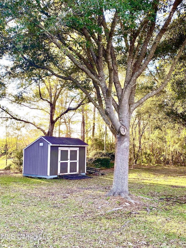 view of yard with a storage shed