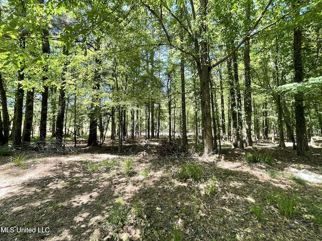 Listing photo 2 for LOT4 Chantilly Dr, Madison MS 39110