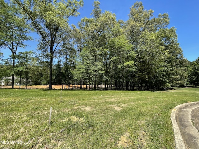 Listing photo 3 for LOT4 Chantilly Dr, Madison MS 39110