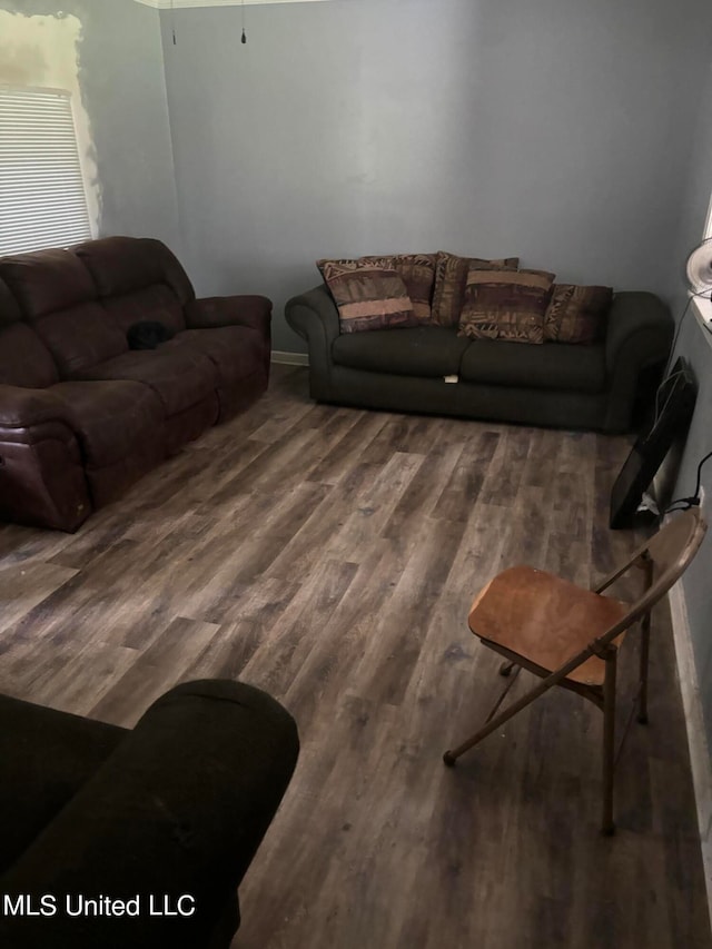 living room with hardwood / wood-style flooring