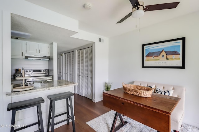 138 Molokai Vlg Unit J, Diamondhead, MS 39525 - interior space with stainless steel electric stove, under cabinet range hood, dark wood-style floors, a ceiling fan, and baseboards