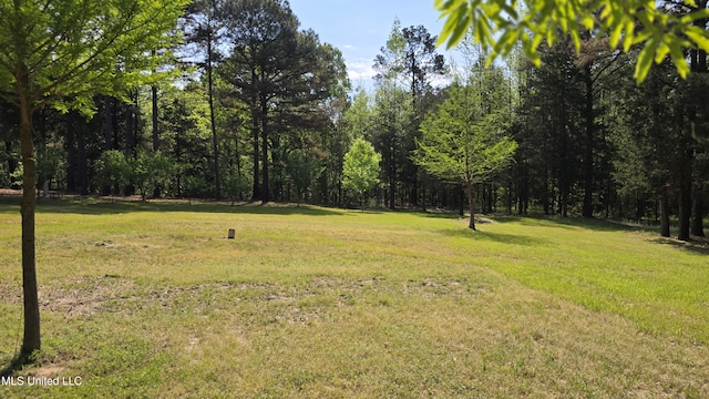 22386 Ms Highway 32, Oakland, MS 38948 - view of yard