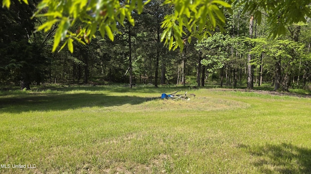 22386 Ms Highway 32, Oakland, MS 38948 - view of yard