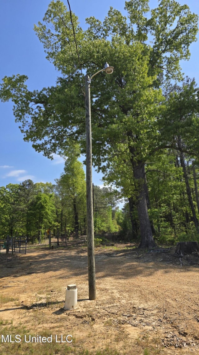 22386 Ms Highway 32, Oakland, MS 38948 - view of local wilderness