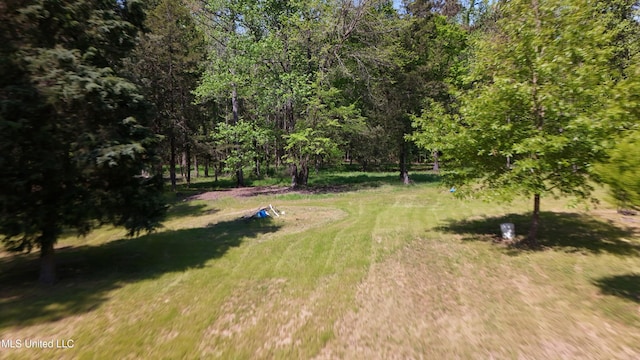 22386 Ms Highway 32, Oakland, MS 38948 - view of yard