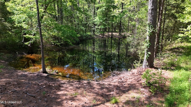 22386 Ms Highway 32, Oakland, MS 38948 - view of local wilderness featuring a view of trees