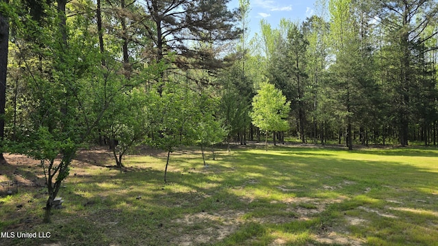 22386 Ms Highway 32, Oakland, MS 38948 - view of yard