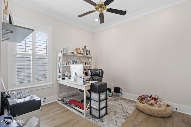 office space with ceiling fan, ornamental molding, and light hardwood / wood-style flooring