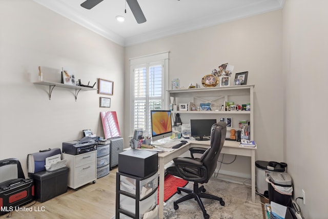 home office featuring ceiling fan, ornamental molding, and light hardwood / wood-style flooring