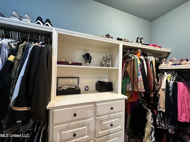 121 Vinca Dr, Madison, MS 39110 - view of walk in closet