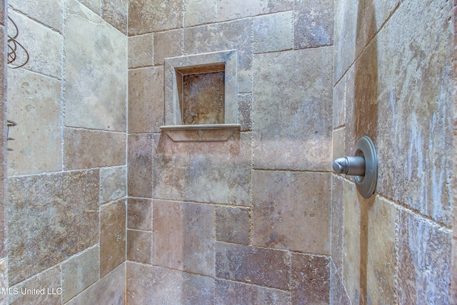 room details featuring a shower