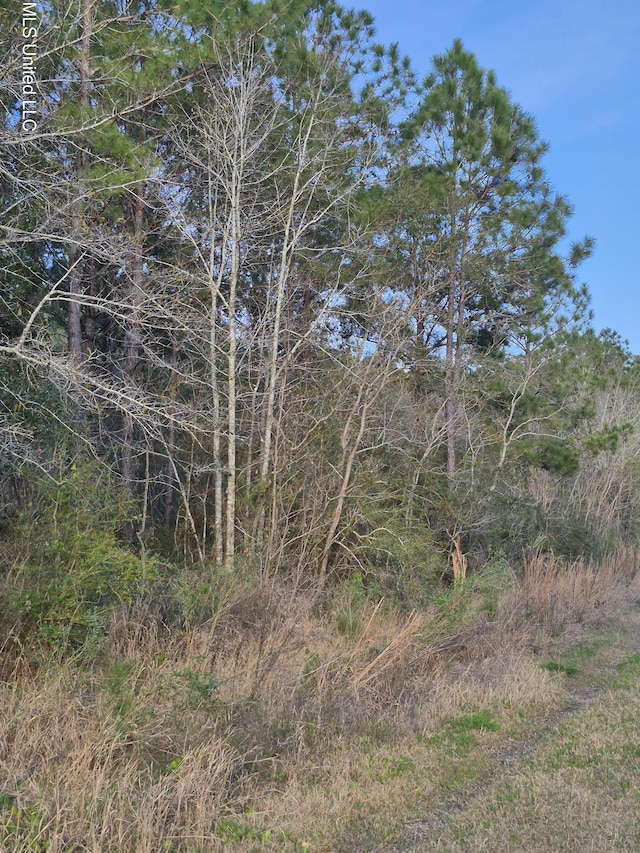 16th St, Bay Saint Louis MS, 39520 land for sale