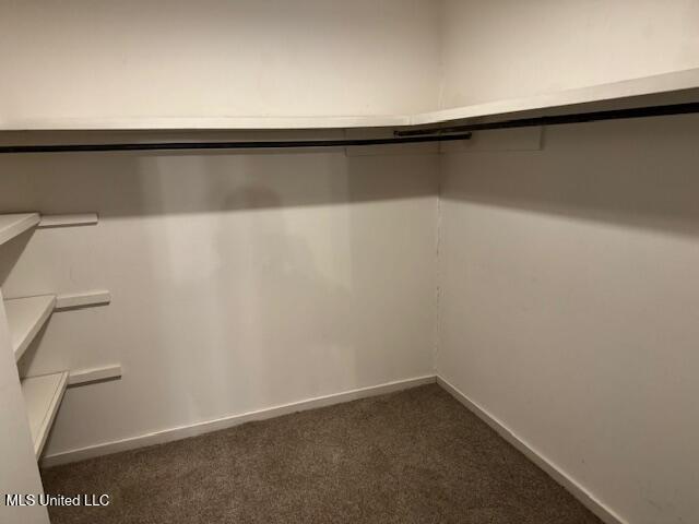 spacious closet with dark carpet