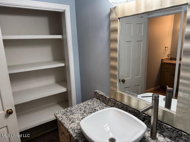 bathroom featuring vanity and built in features