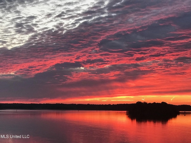 205 Audubon Point Dr, Brandon, MS 39047 - water view
