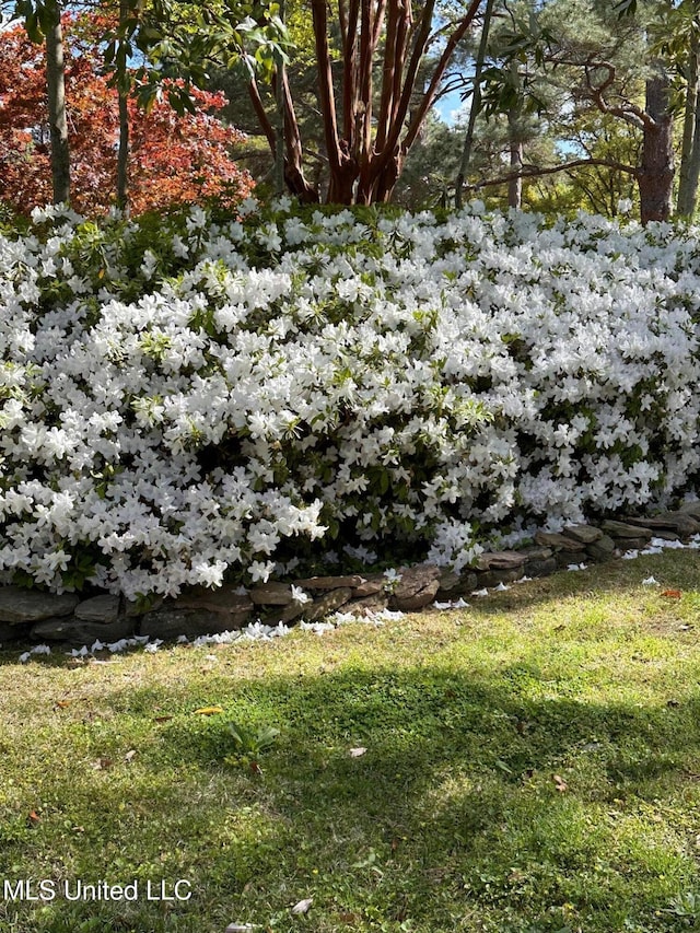 205 Audubon Point Dr, Brandon, MS 39047 - view of nature