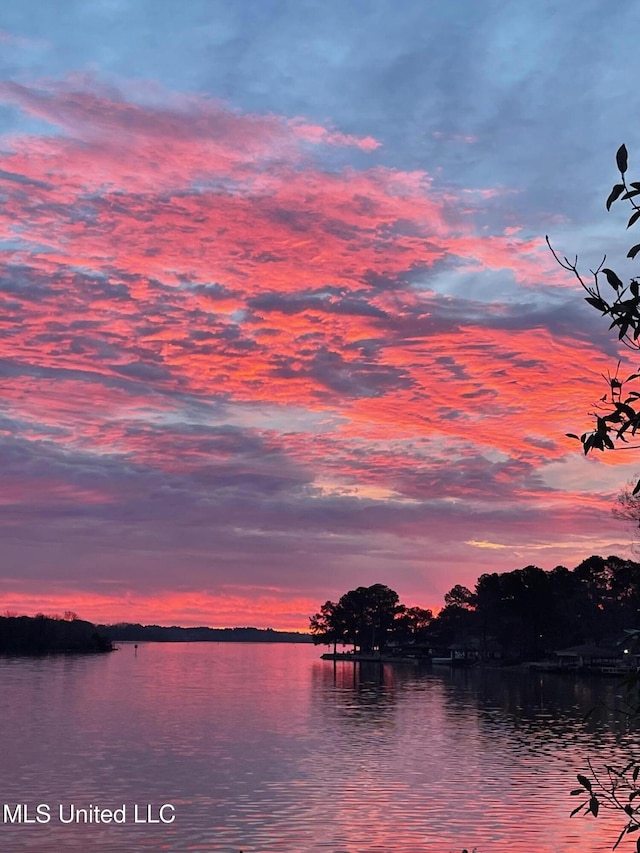 205 Audubon Point Dr, Brandon, MS 39047 - water view
