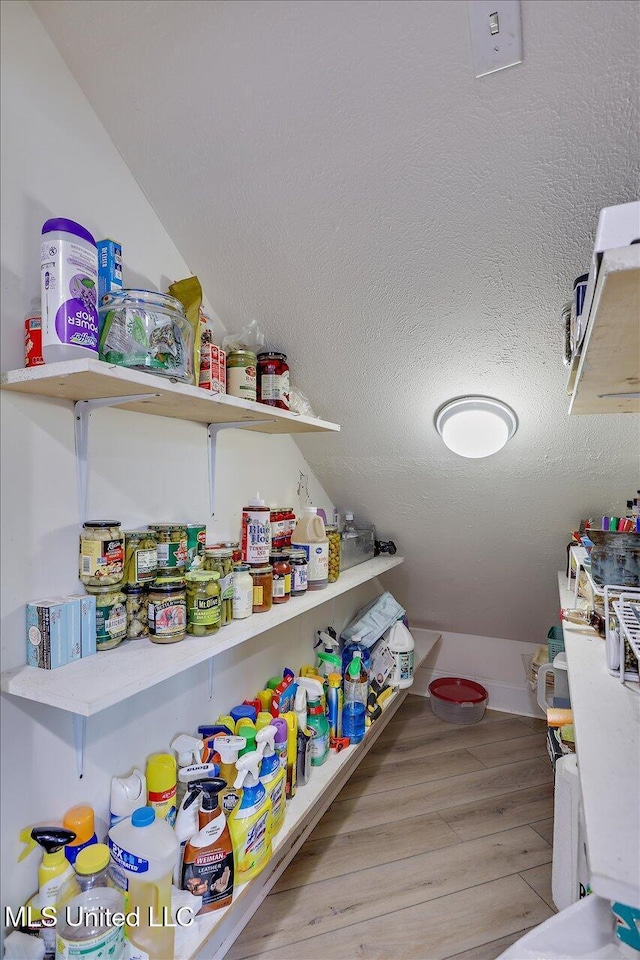 205 Audubon Point Dr, Brandon, MS 39047 - view of pantry