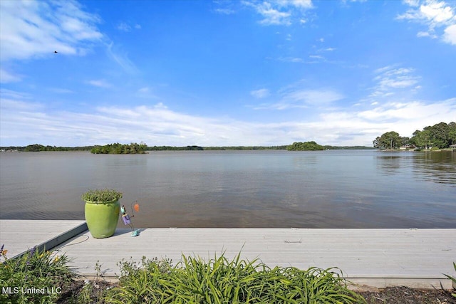 205 Audubon Point Dr, Brandon, MS 39047 - water view
