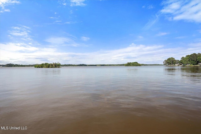205 Audubon Point Dr, Brandon, MS 39047 - property view of water