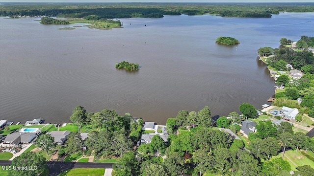 205 Audubon Point Dr, Brandon, MS 39047 - bird's eye view with a water view