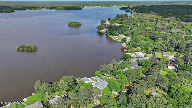 205 Audubon Point Dr, Brandon, MS 39047 - aerial view featuring a water view and a wooded view