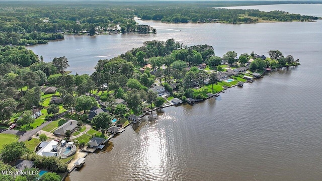 205 Audubon Point Dr, Brandon, MS 39047 - aerial view with a residential view and a water view