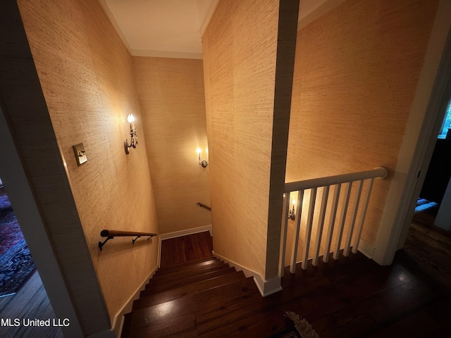 staircase with wood-type flooring