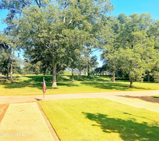 view of community featuring a lawn