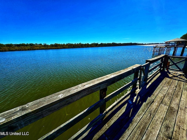 dock area with a water view