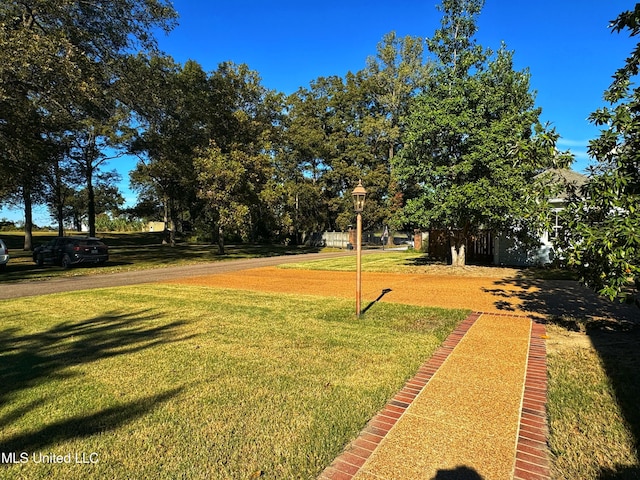 view of grassy yard