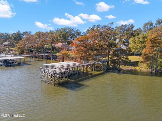 dock area featuring a water view