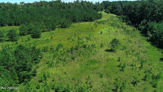 144 Gum Branch To Highway 25 Road, Louisville, MS 39339 - aerial view of property's location featuring a forest