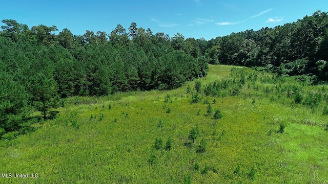 144 Gum Branch To Highway 25 Road, Louisville, MS 39339 - view of wooded area