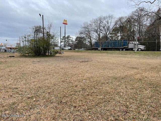 Woodland Dr N, Forest, MS 39074