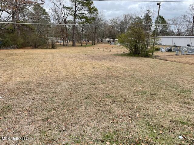 Woodland Dr N, Forest, MS 39074